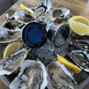 Oysters - $1.25 on Thursdays from 4pm