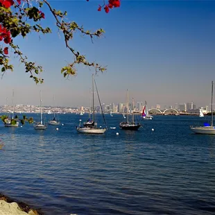 View of San Diego from Shelter Island, Copyright John Henberger 2023 All Rights Reserved!