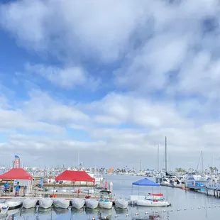 View (America cups harbor)