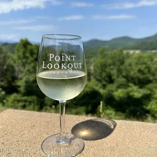 This is the oak barreled Chardonnay and the amazing view from the outside seating area.