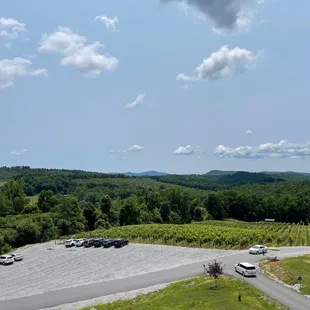 a view of a vineyard from the top of a hill