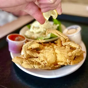 Soft Shell Crab