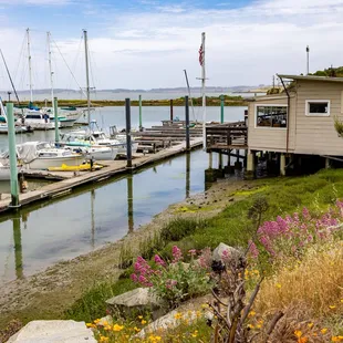 Point San Pablo Harbor