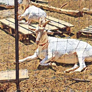 Point San Pablo Harbor