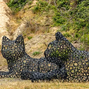 Point San Pablo Harbor