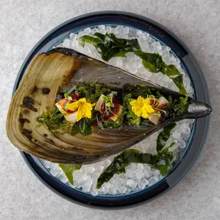 a clam on a bed of ice