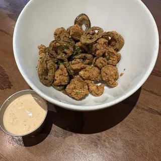 Alligator Bites