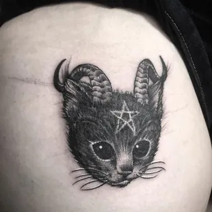 Kitty by Kyle