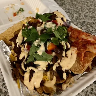 Loaded Nachos (Beef Bulgogi)