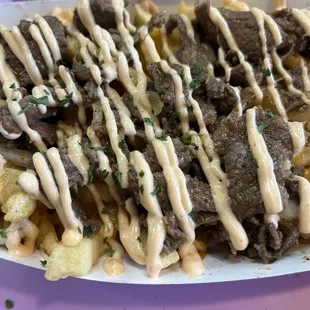 Bulgogi fries
