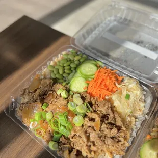 Gyudon Beef Rice Plate
