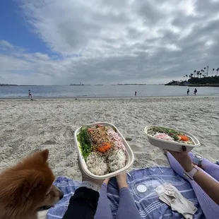 a person and a dog on the beach