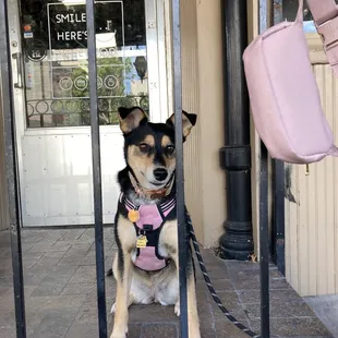 Enjoying the patio area!