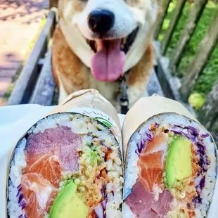 wraps, food, burrito, burritos and wraps