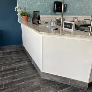 a counter with a plant on it
