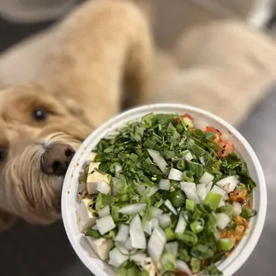 Create your own bowl (Togo)