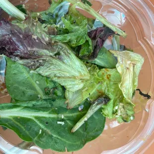 Greens