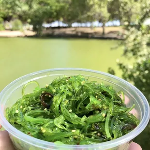 Seaweed salad or as it&apos;s called here, ocean salad.