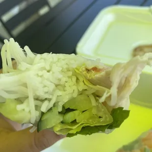 Spring roll