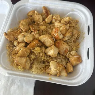 Chicken teriyaki
