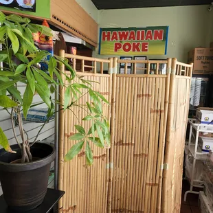 a potted plant in front of a bamboo screen