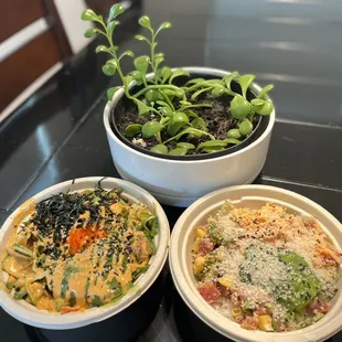 Build your own Regular Bowls