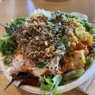 Large salmon and spicy tuna poke bowl