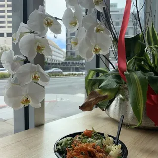 Poke Bowl - Small