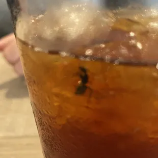 Ant plus tea