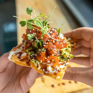 a hand holding a piece of nacho