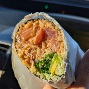 Pokeman Spicy Burrito $11.95