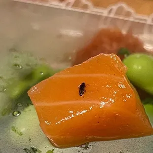 Bugs in our food