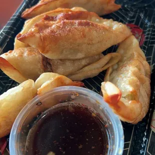 Chicken pot stickers