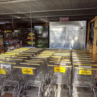 Carts (sanitized every day)