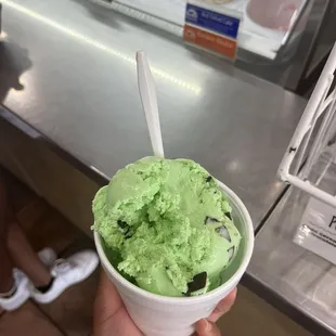 Mint Chocolate Chip - 2 scoops