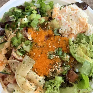 This is a large - 4 proteins. Sushi rice and some mixed greens as my base. Mild sauce and miso sauce topping.