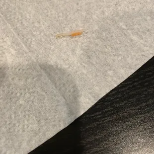 bone in piece of salmon