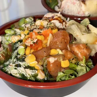 Salmon