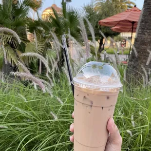 Honey Milk Tea (Large)