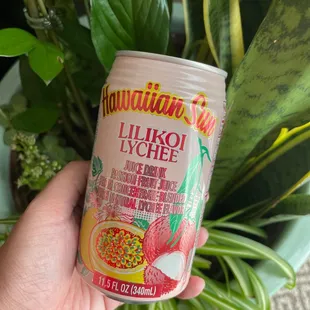 Free drink with a Yelp check in!