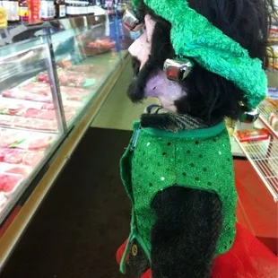 Frank picking out meat