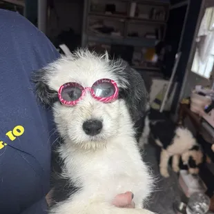 Too cool to be alone