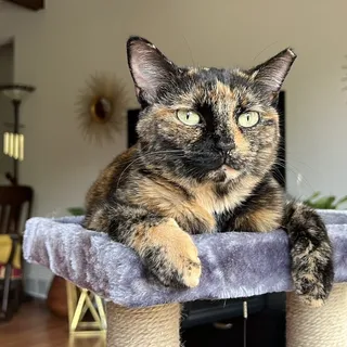 Catherine E.