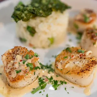 Daily Special: Scallops w/ lemon risotto ($35)