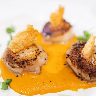 Daily App Special: Chef's Choice Scallops ($24)