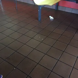 Those spots in the foreground are pieces of meat on the floor in the dining area. The white is a used napkin