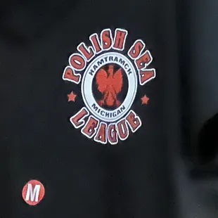 Polish Sea League