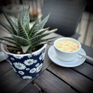 a cup of soup and a potted plant