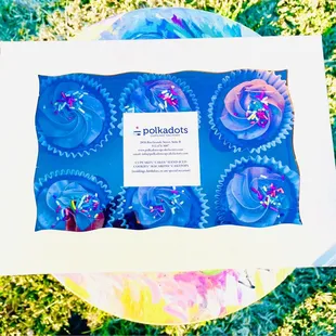 Polkadots Cupcakes ~ Austin, Texas
