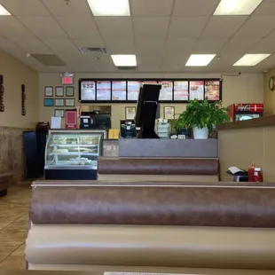 Polly keeps a clean house